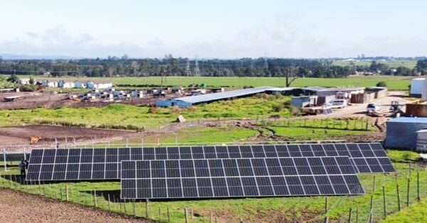 WhatsApp Image 2023-08-08 at 15.54.42