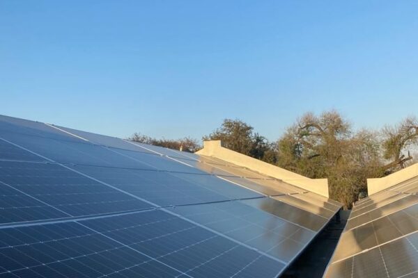 WhatsApp Image 2023-08-14 at 16.11.22